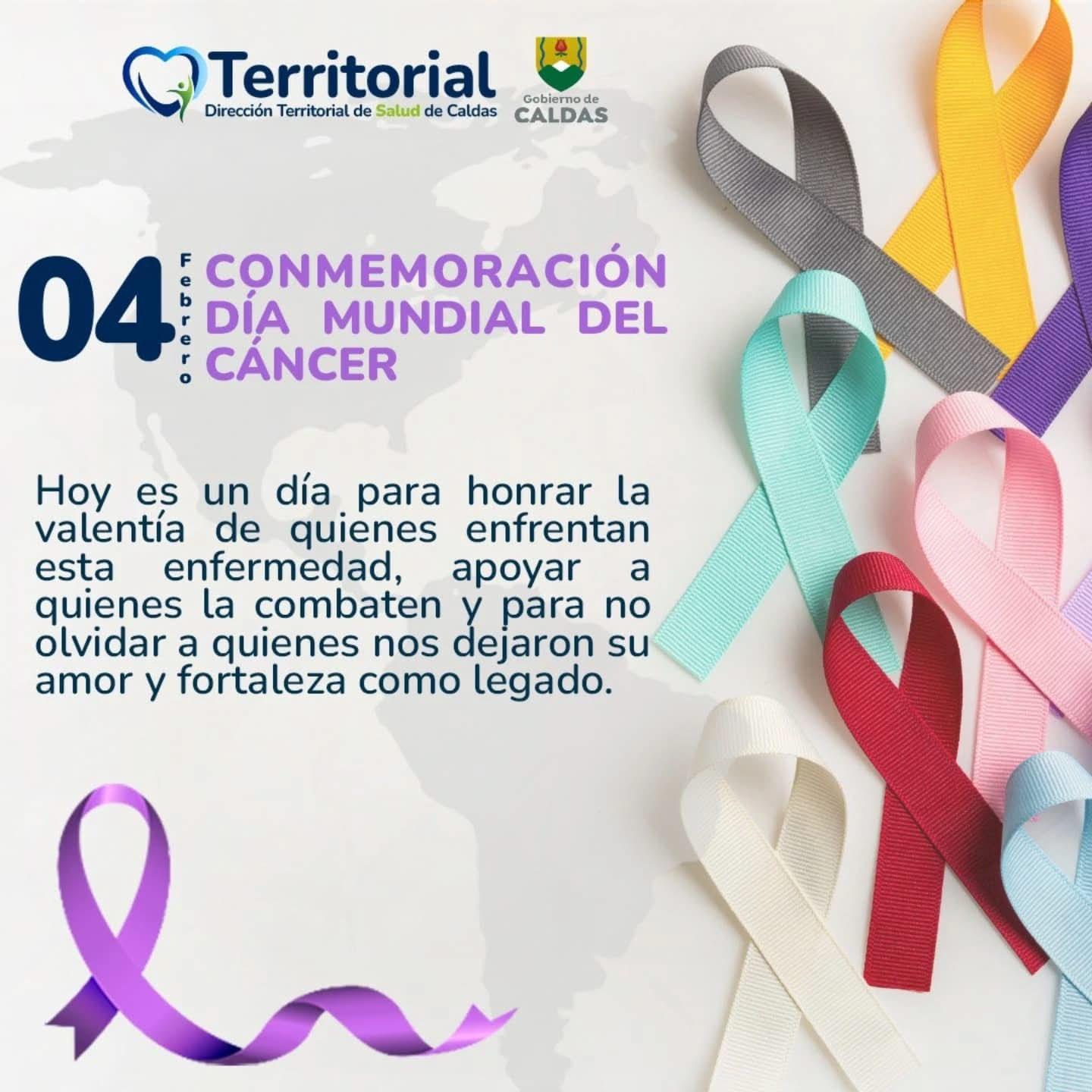 WhatsApp Image 2025 02 04 at 3.34.35 PM