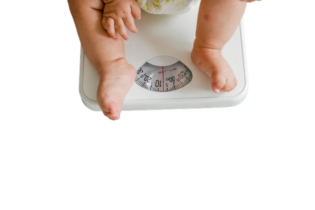 FOTO NUTRICION 1024x683