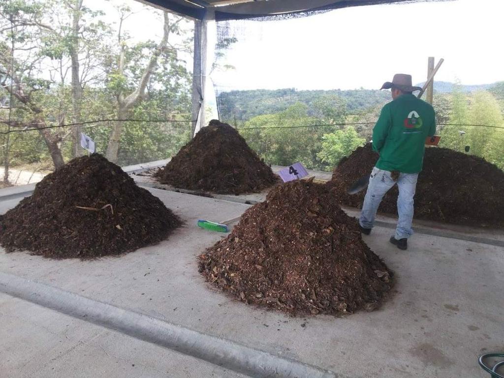 WhatsApp Image 2024 01 25 at 10.34.03 AM