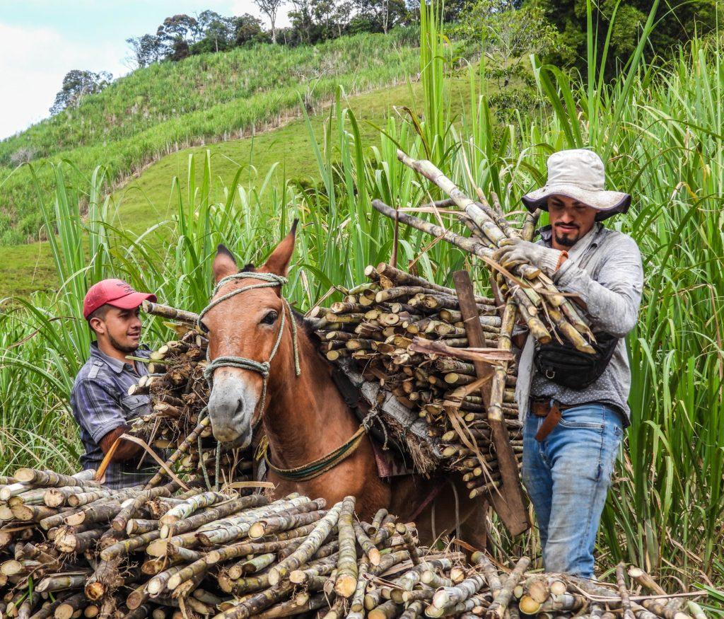 WhatsApp Image 2024 02 08 at 3.02.11 PM 1024x875