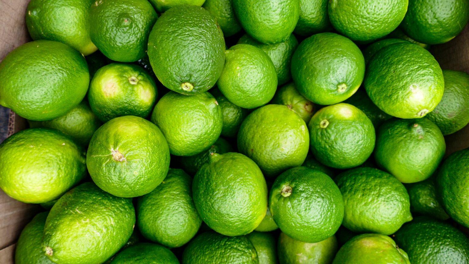 WhatsApp Image 2024 11 08 at 10.36.15 AM 1536x864