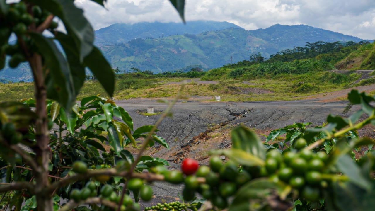 WhatsApp Image 2024 12 11 at 10.55.51 AM