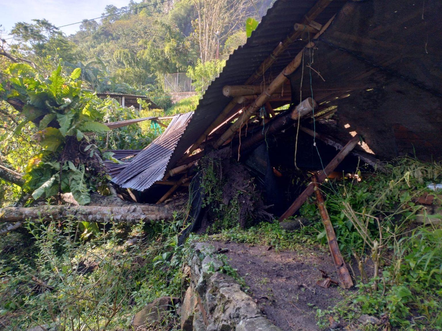 image 123650291 1 1 1536x1149