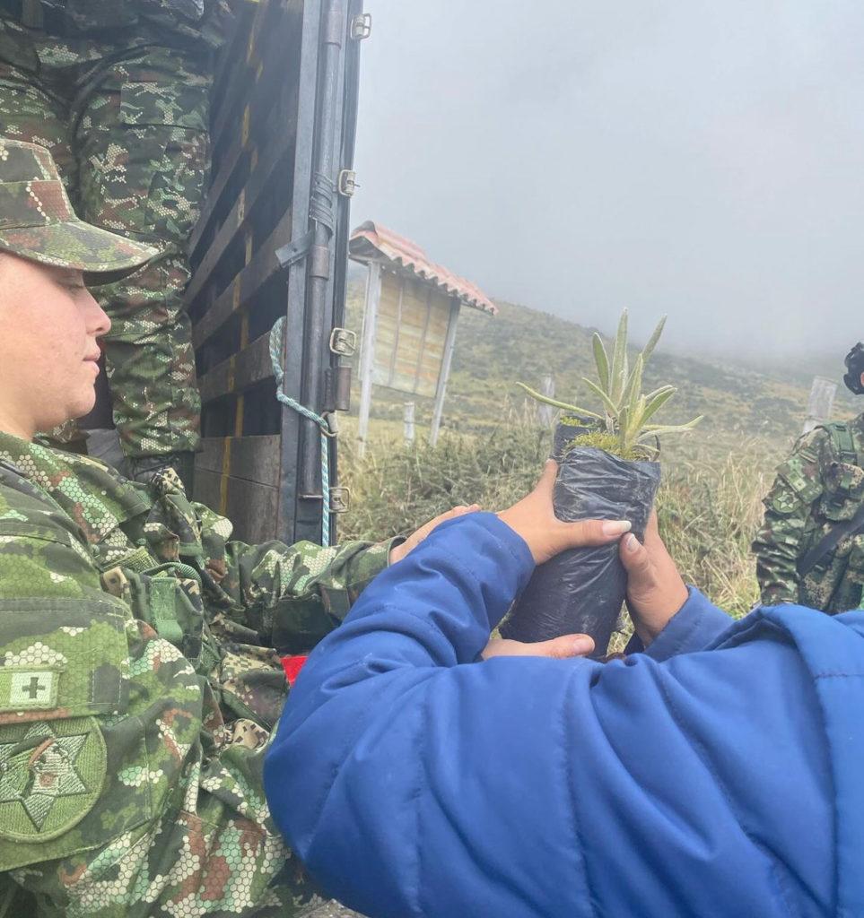 image 123650291 1 1 963x1024