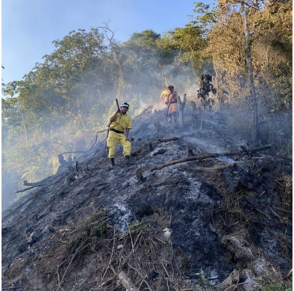 image 123650291 1024x1016