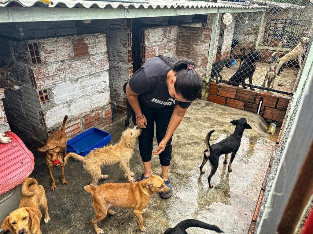 image 123650291 2 1024x768