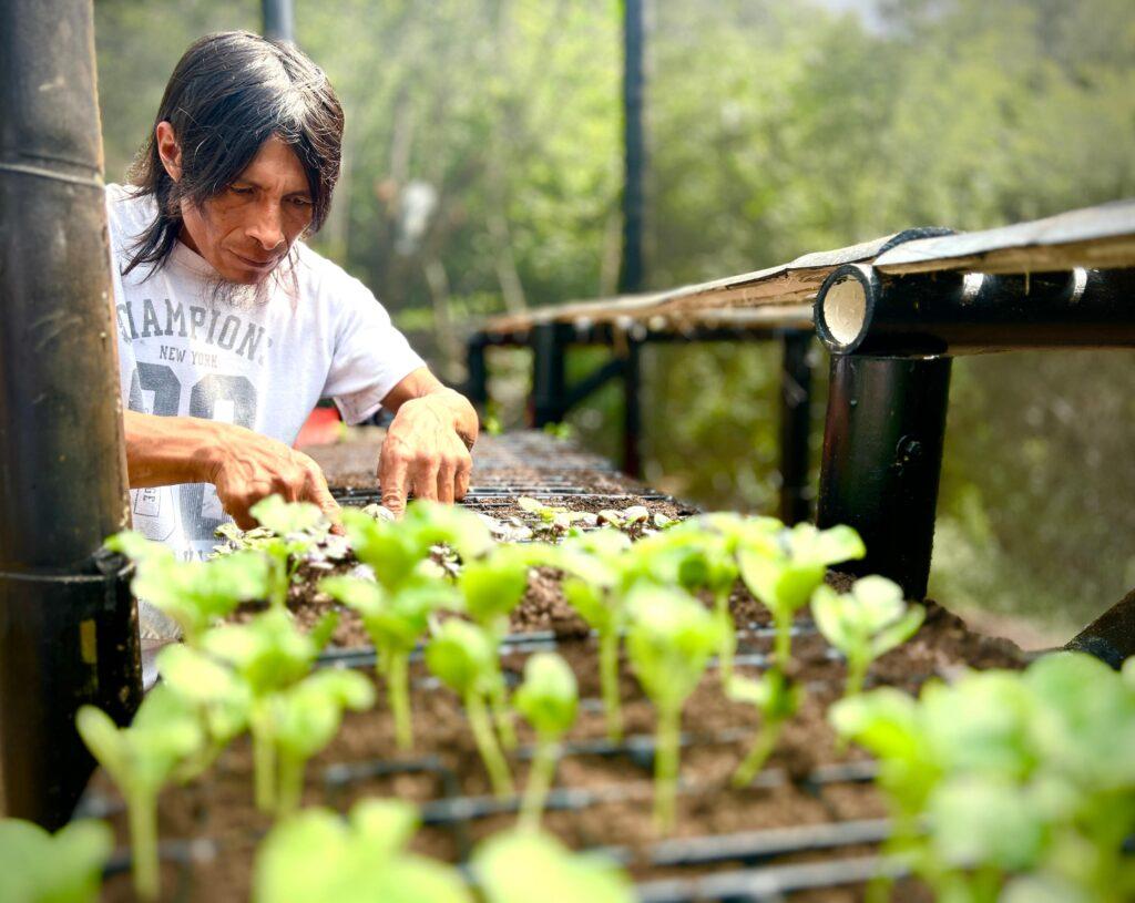 image 123650291 2 4 1024x815