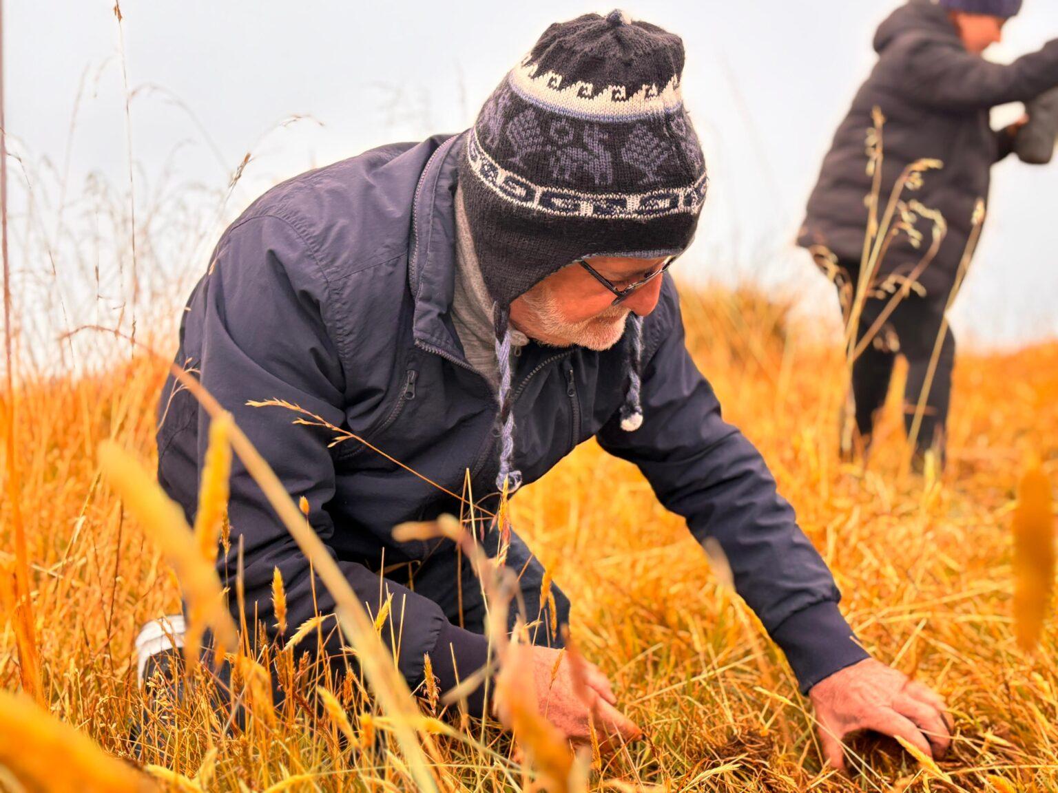 image 123650291 8 1536x1152