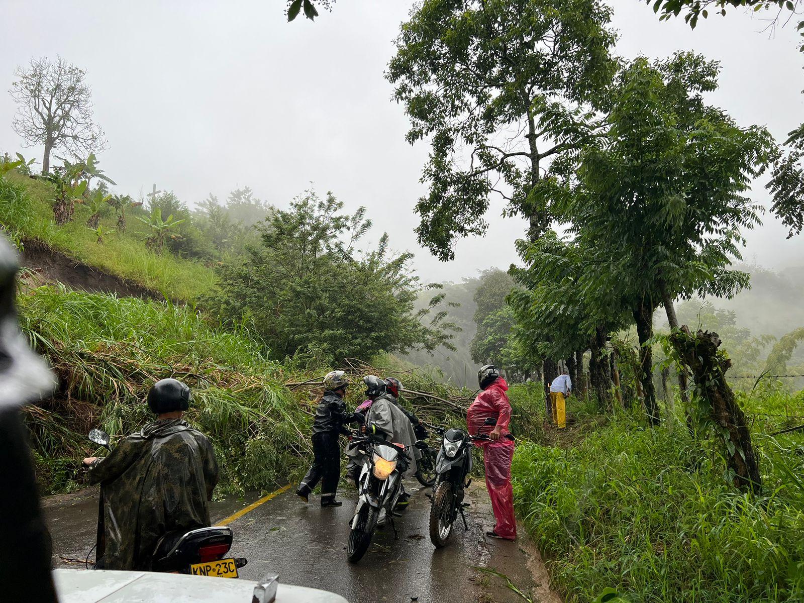 655cafe6 197f 3cfb 527f ea94c19162c3