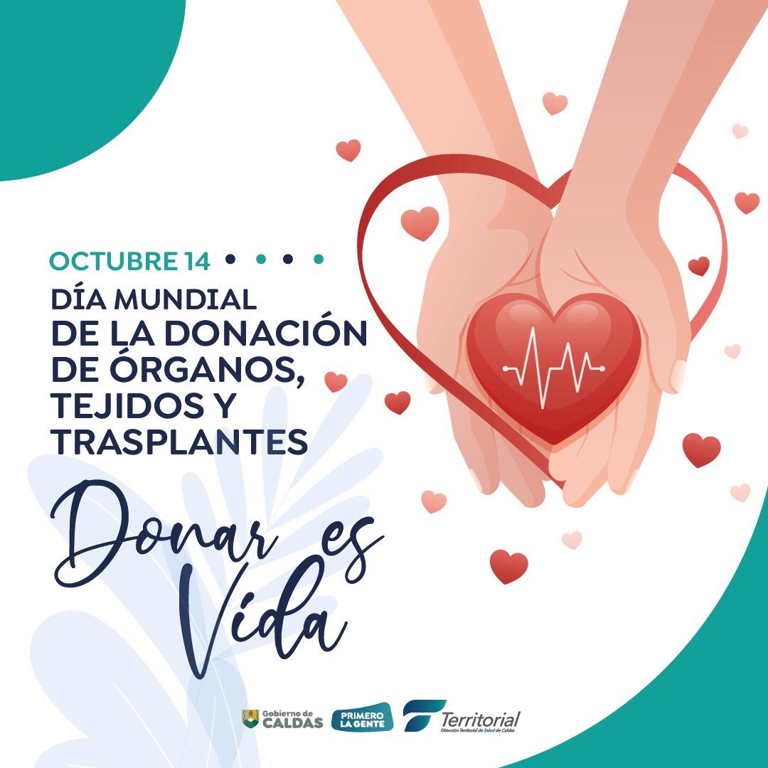 72205d3e 5c4d 4758 a024 d4266658dea5