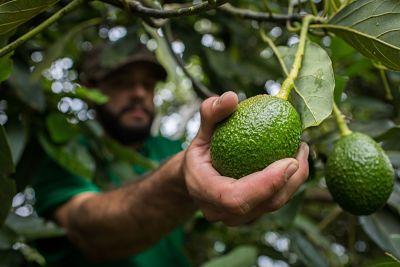 8d6af862 6a39 6c96 63f1 f62296ce76b9