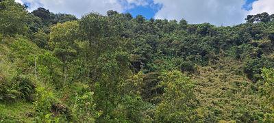 Plan Departamental opt