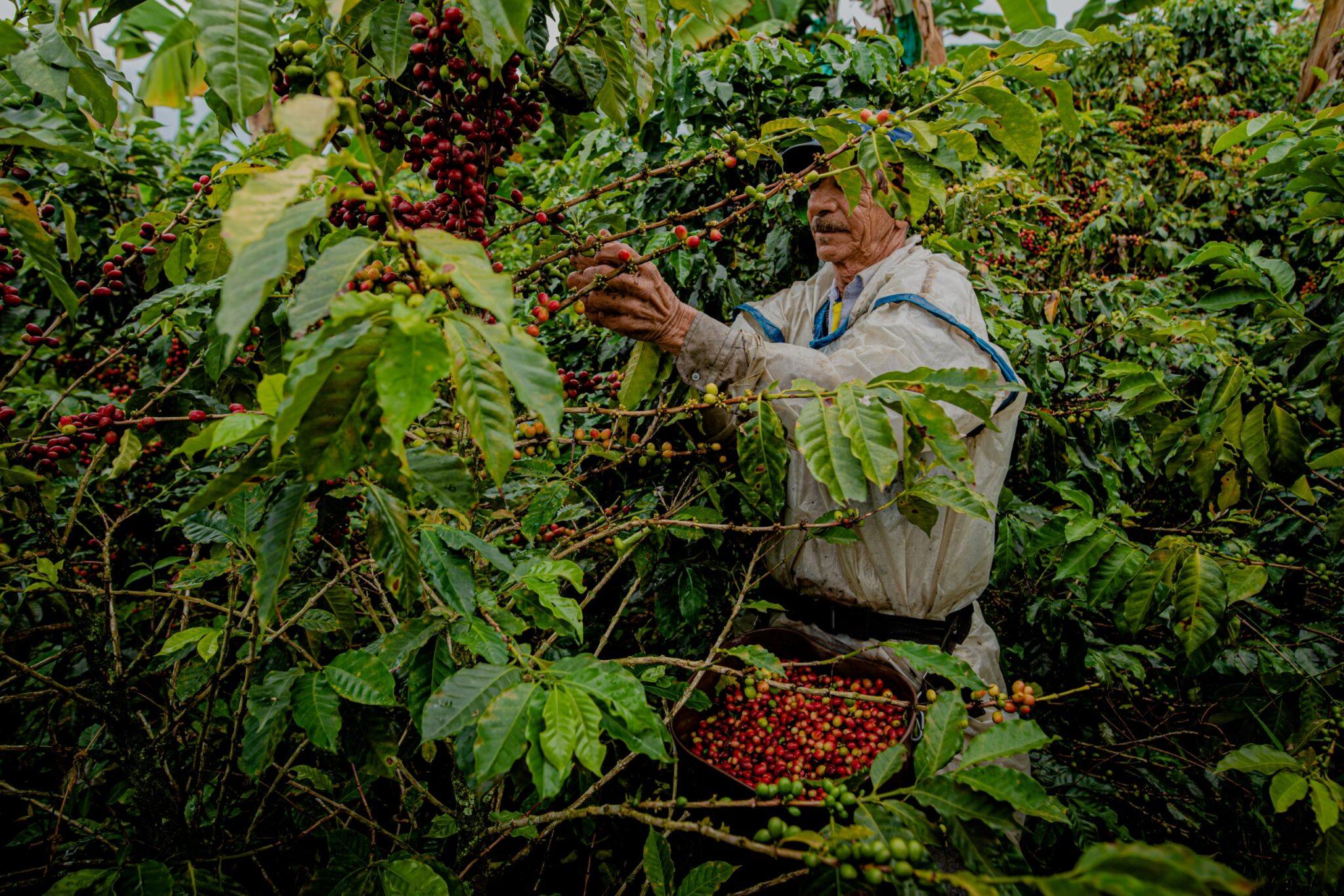 WhatsApp Image 2025 02 06 at 5.44.48 PM 2048x1366