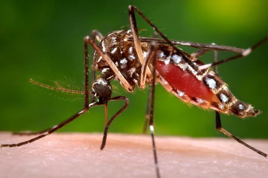 WhatsApp Image 2025 09 04 at 2.46.25 PM