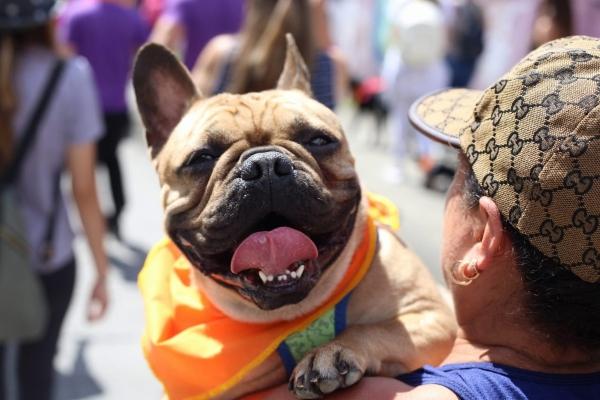 WhatsApp Image 2022 12 03 at 12.23.53 PM