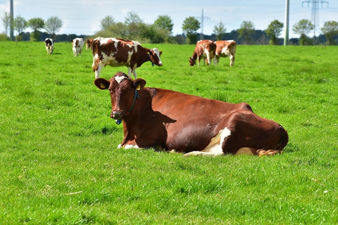 a62a6083 1c81 1449 96f3 72f0f80099fa