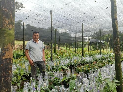 ae395b65 fb5e 3c53 df42 fe01f0f7