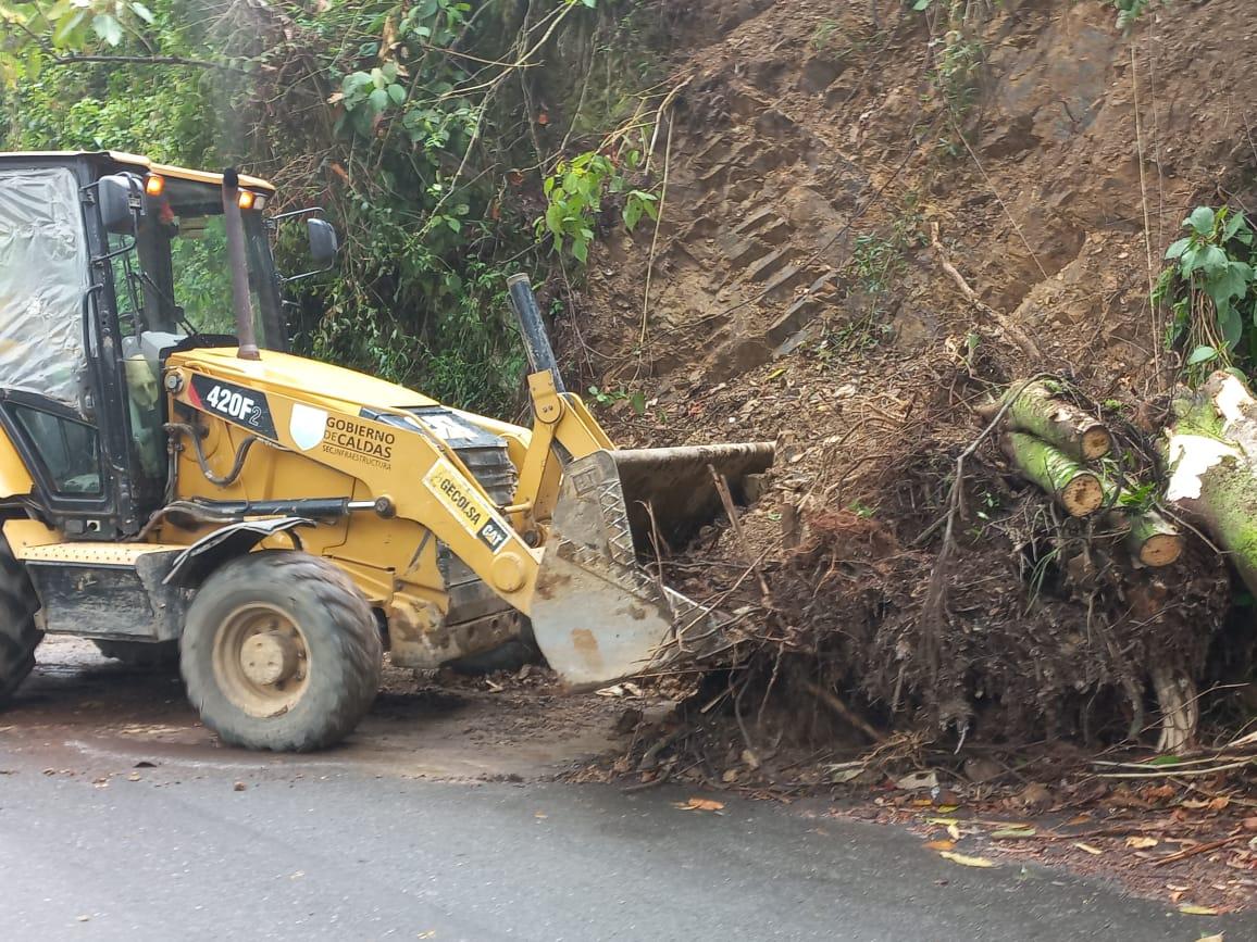 b6f20666 36d8 ff2c a4fb c0c53abef3fd