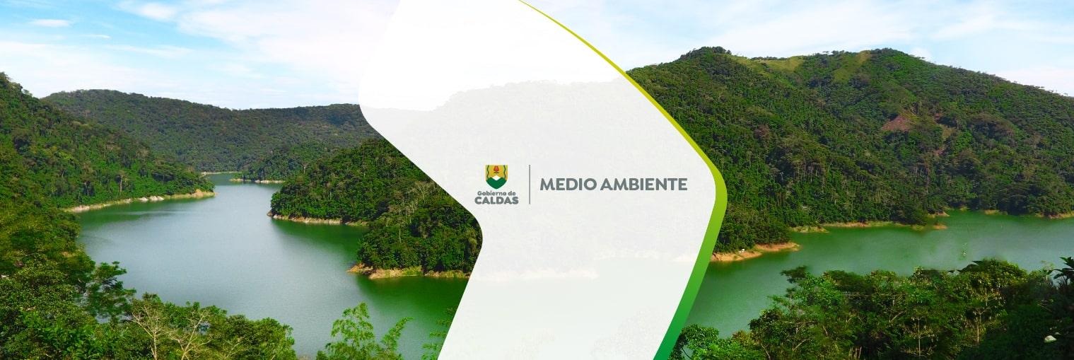 medio-ambiente.jpg