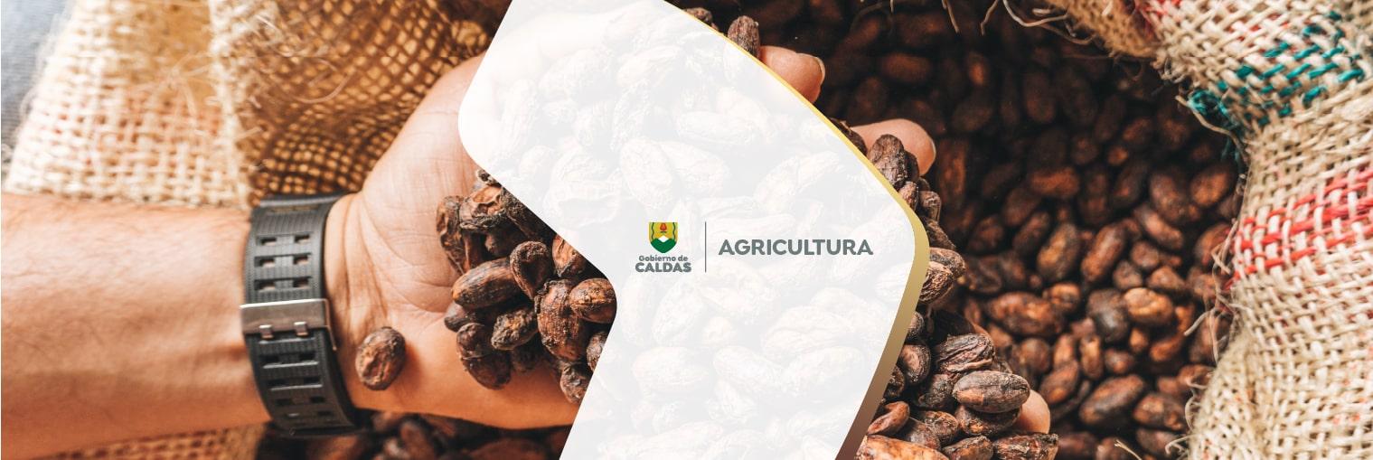 agricultura.jpg