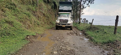 Navidad y Año Nuevo opt
