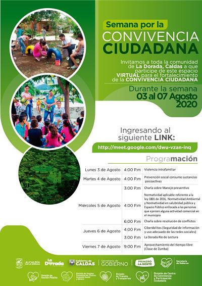desarrollo opt