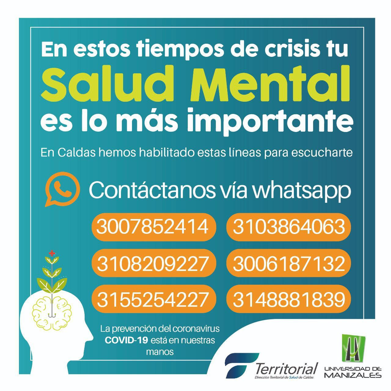 líneas de atención