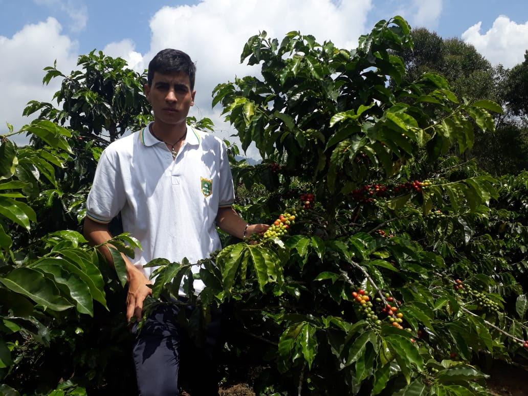 programa en el campo