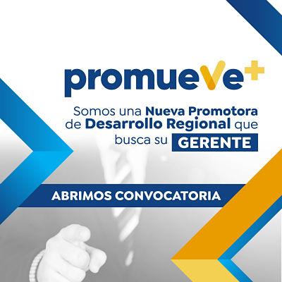 cargo de gerente opt 1