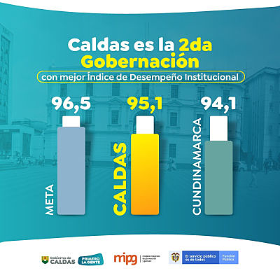 Desempeño Institucional opt