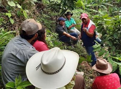 procesos asociativos opt