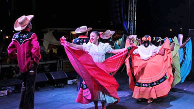 secretarías de cultura opt