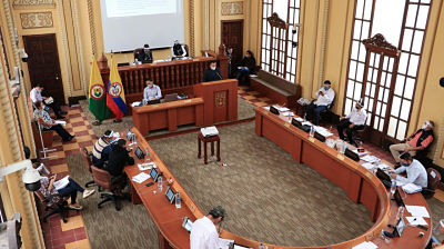 proyectos estratégicos opt
