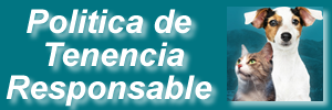boton politica tendencia