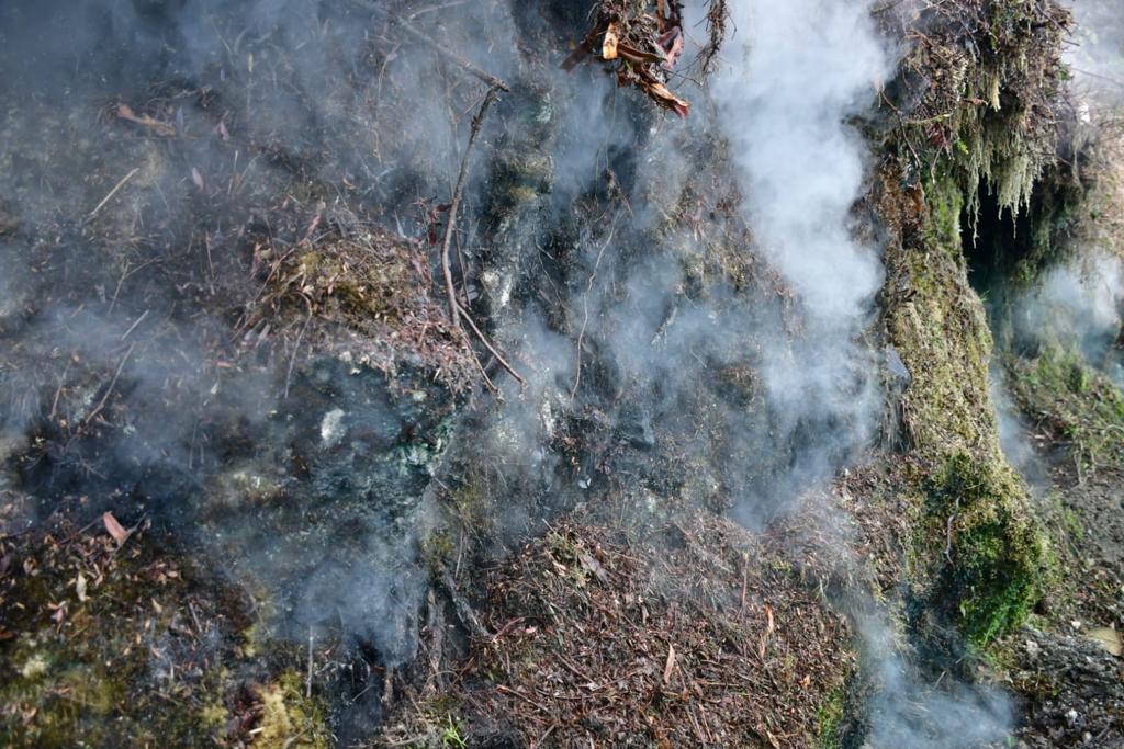 c7e45233 de12 ad1e a583 656b65a99b4e