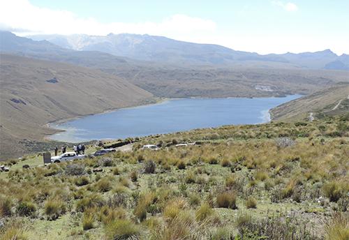 c9811ac3 f240 8758 5938 db91f98266a7