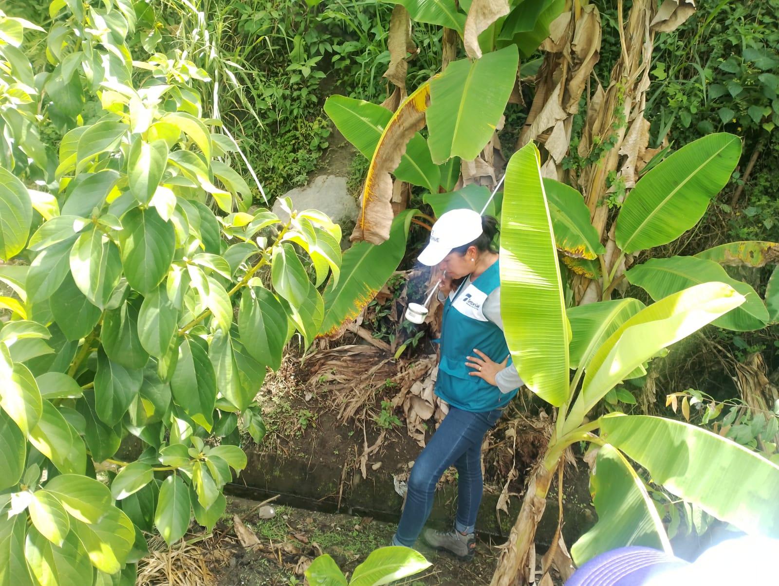 ca36f069 419a d5d0 5290 a6df357a3e48