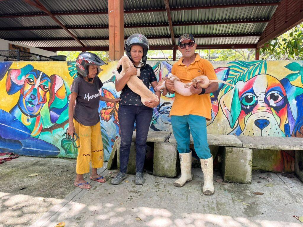 image 123650291 1 4 1024x768