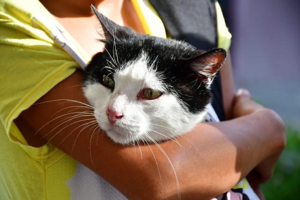 image 123650291 3 1 1024x683