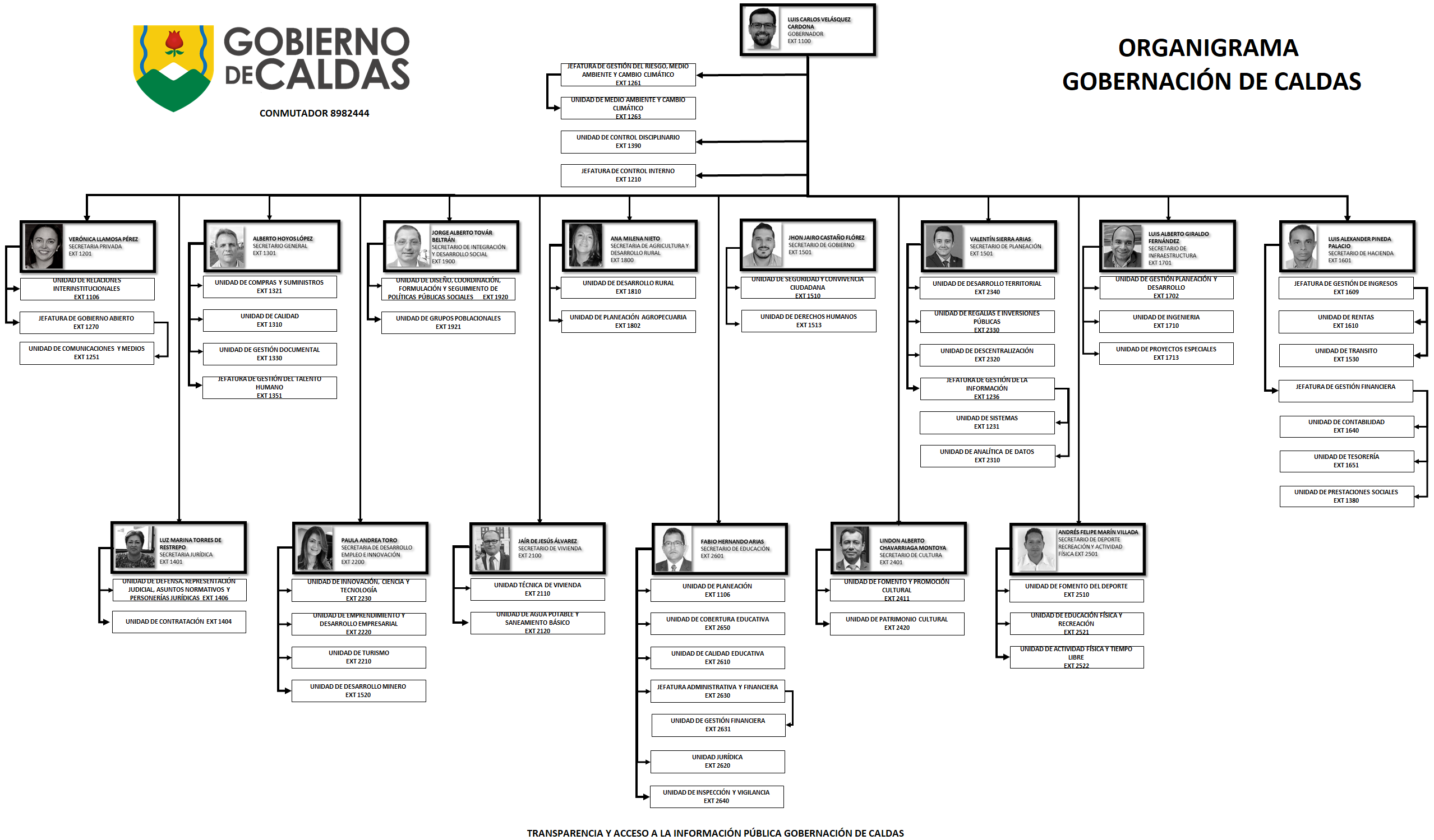 ORGANIGRAMA 2020