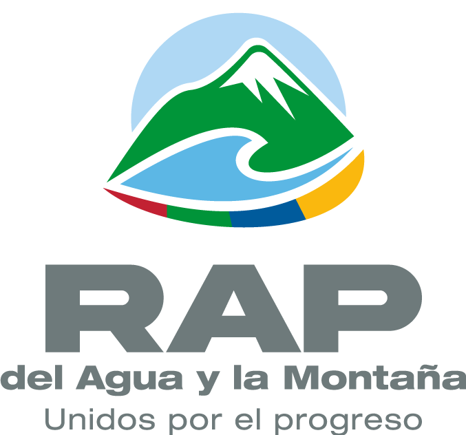 RAP-LOGO-VERTICAL-GRIS.png