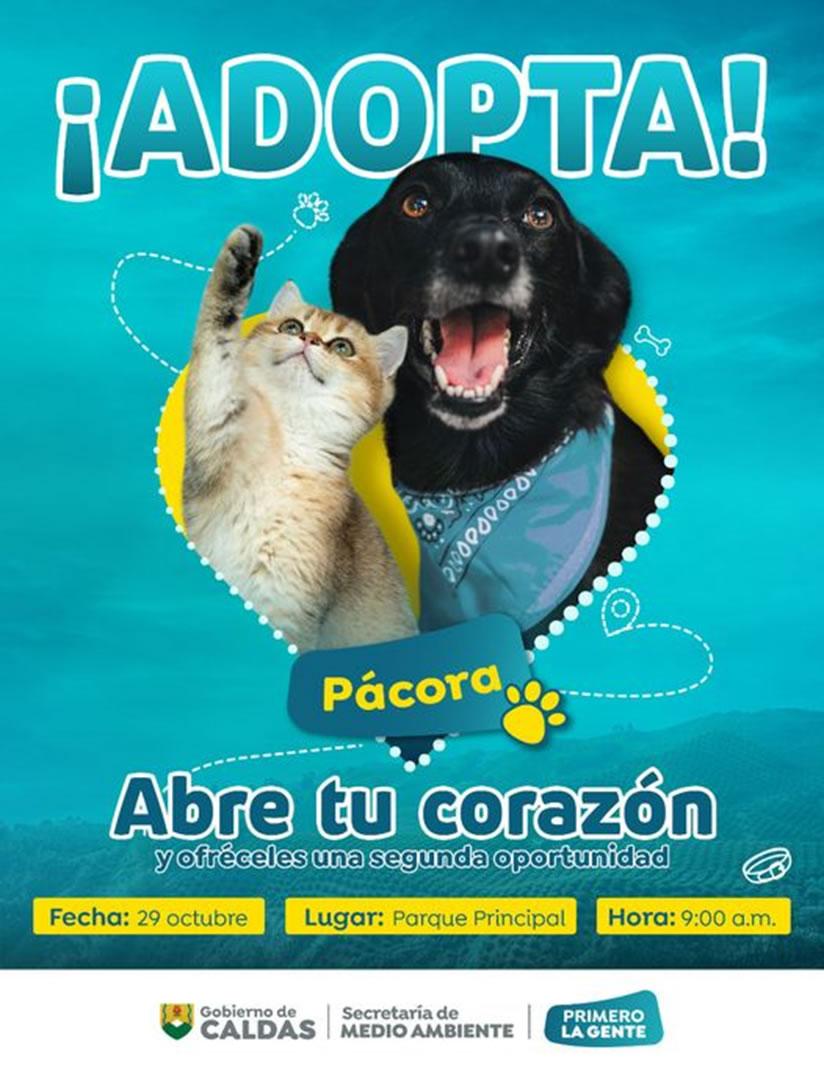 adopta Pacora