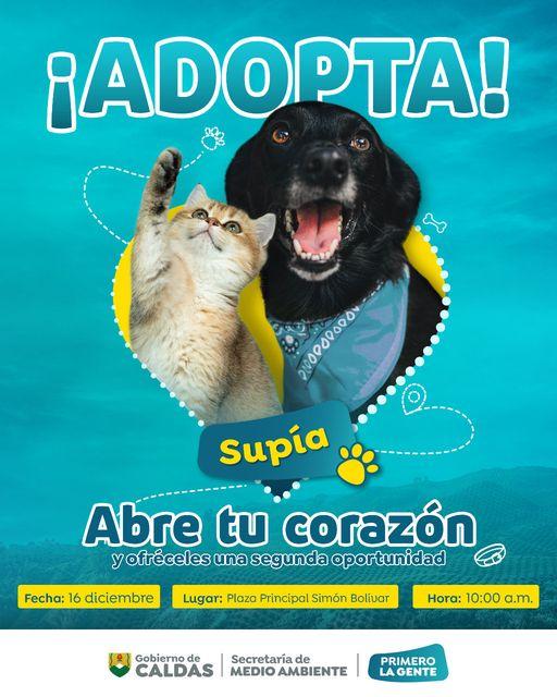 adopta Supia