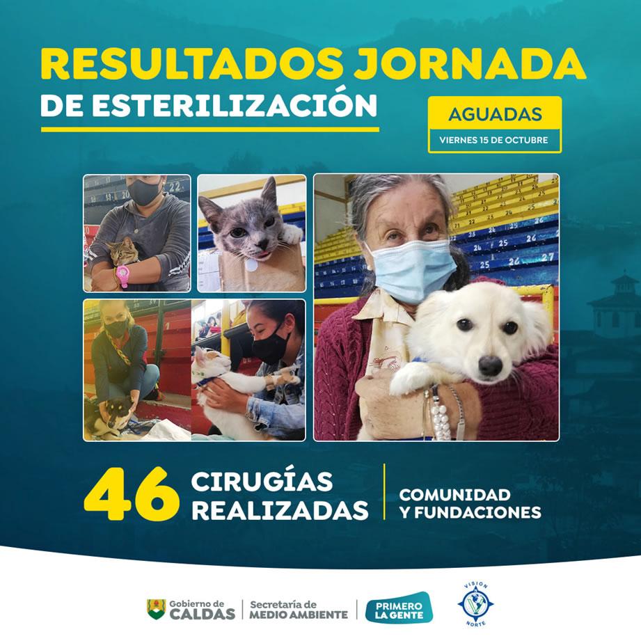 esterilizacion aguadas