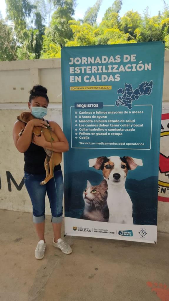 esterilizacion anserma