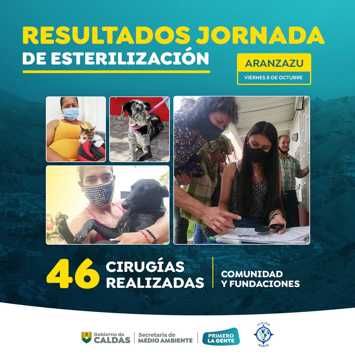 esterilizacion Aranzazu