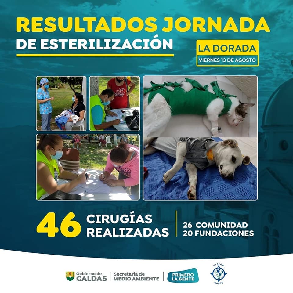 esterilizacion Manzanares