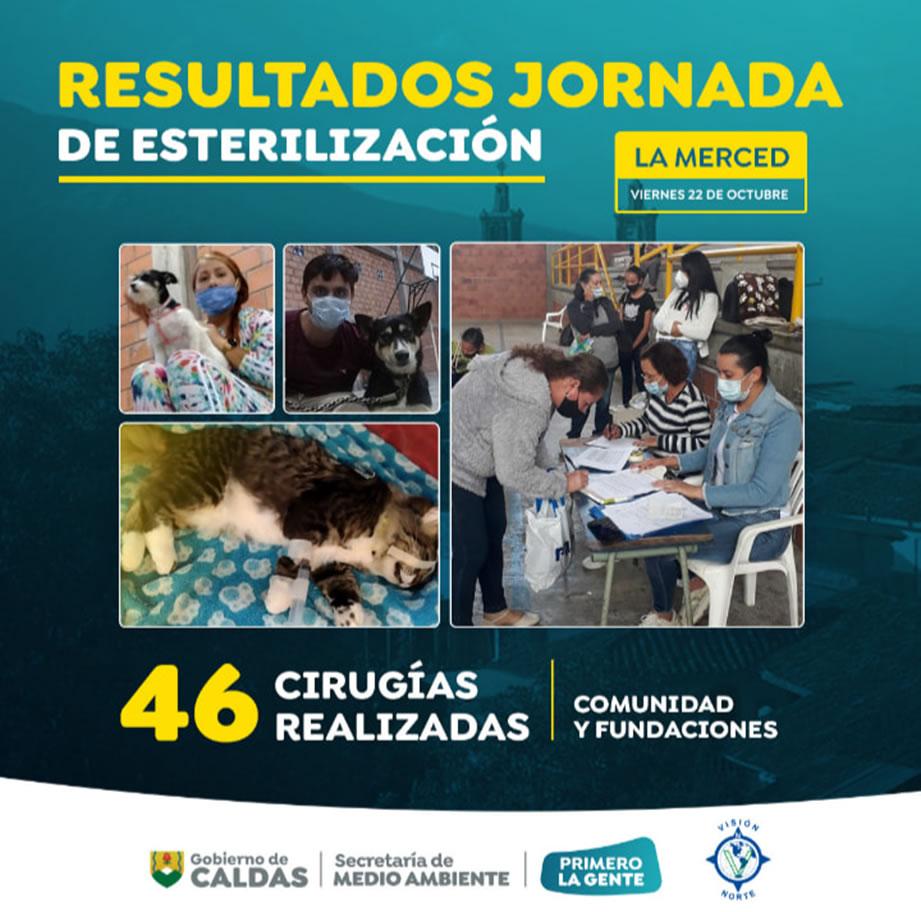 esterilizacion la merced