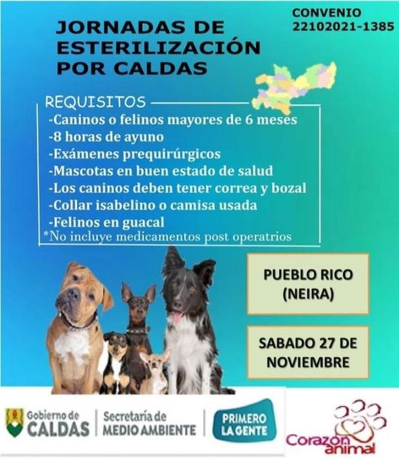 esterilizacion neira