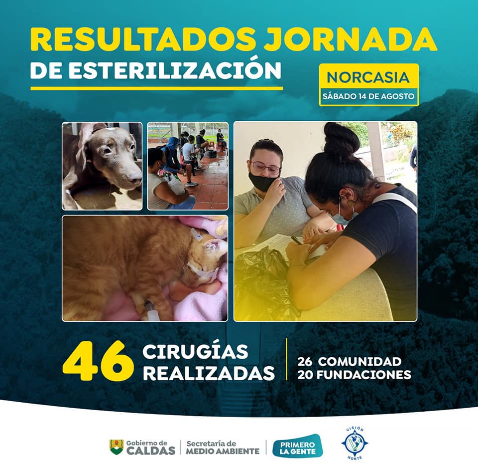 esterilizacion Norcasi
